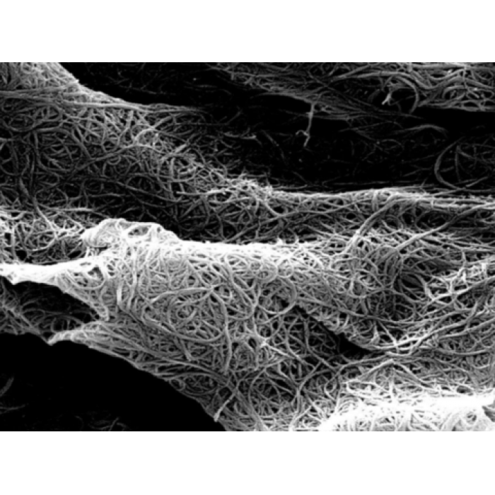 高纯单壁碳纳米管